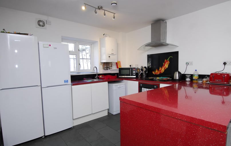 Baring Street, Greenbank, Plymouth - Image 1